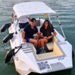 Seville from the River: Electric water taxi ride, TAXI SHIP. - Itinerary & Landmark Highlights