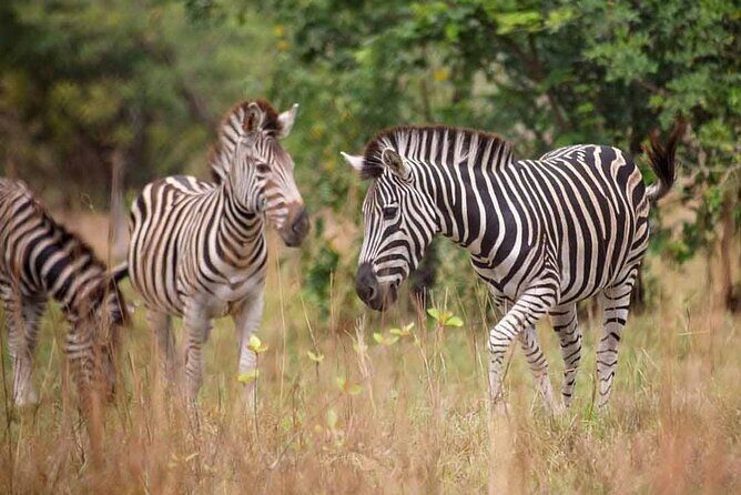 Shai Hills Mini Safari & Akosombo Boat Cruise Tour - What You Can Expect: Detailed Breakdown