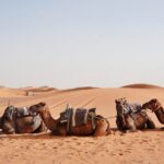 Shared 3 Days Desert Tour from Marrakech (Private Accommodations) - The Breakdown of the Itinerary: What to Expect