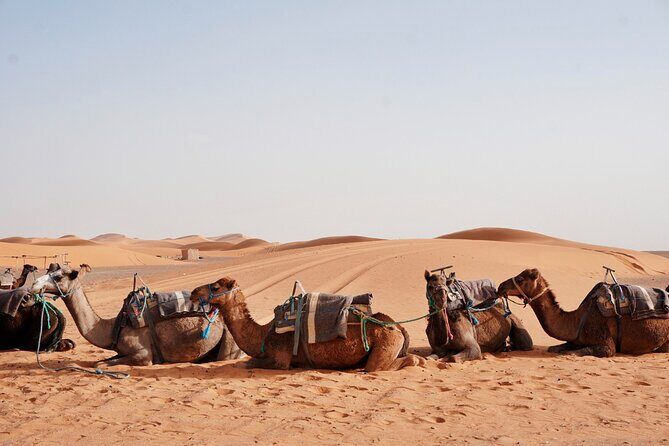 Shared 3 Days Desert Tour from Marrakech (Private Accommodations) - The Breakdown of the Itinerary: What to Expect