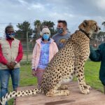 Shared: Cape Winelands, Cheetah Outreach & Kisternbosch Botanical Gardens Tour, - A Closer Look at the Itinerary