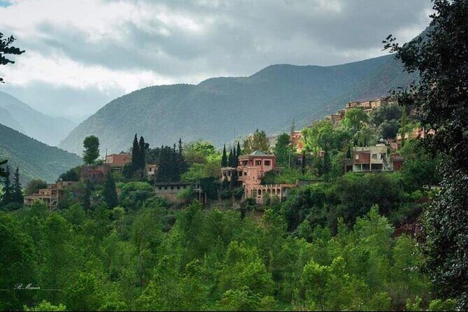 Shared Day Trip From Casablanca to Atlas Mountain - Transportation and Group Dynamics