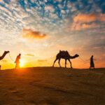 Shared Desert Safari in Dubai - Practical Details and Tips