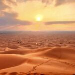 Shared Desert Safari Tour Dubai with Dinner Included - Who Would Love This Experience?