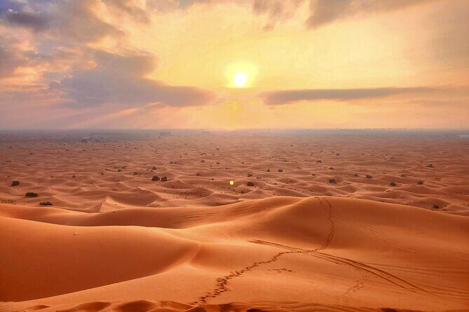 Shared Desert Safari Tour Dubai with Dinner Included - Who Would Love This Experience?