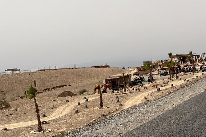Shared Excursion to Agafay Desert with Camel Ride from Marrakech - The Sum Up