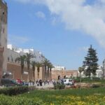 Shared Full-Day Trip to Essaouira from Marrakech - What Makes This Tour Stand Out?