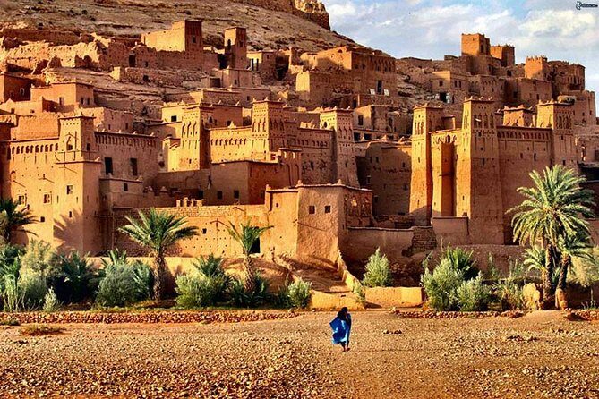 Shared group day tour to Ouarzazate and Kasbahs from Marrakech - What the Reviews Say