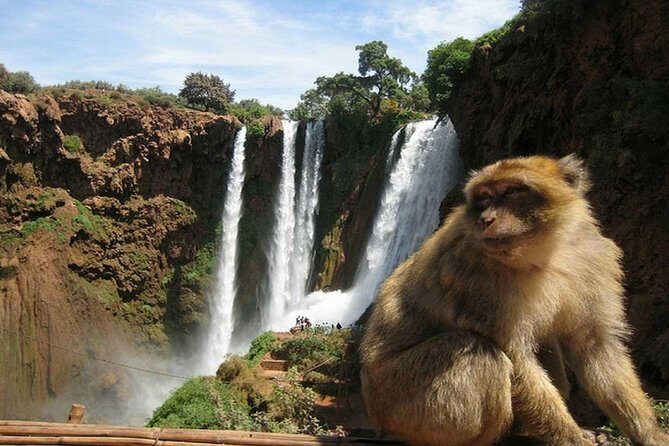 Shared group day trip from Marrakech to Ouzoud waterfalls - What You’ll Do at the Waterfalls