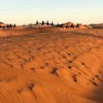 Shared group desert tour from Marrakech to Fes 3 Days - Authentic Experiences and Highlights