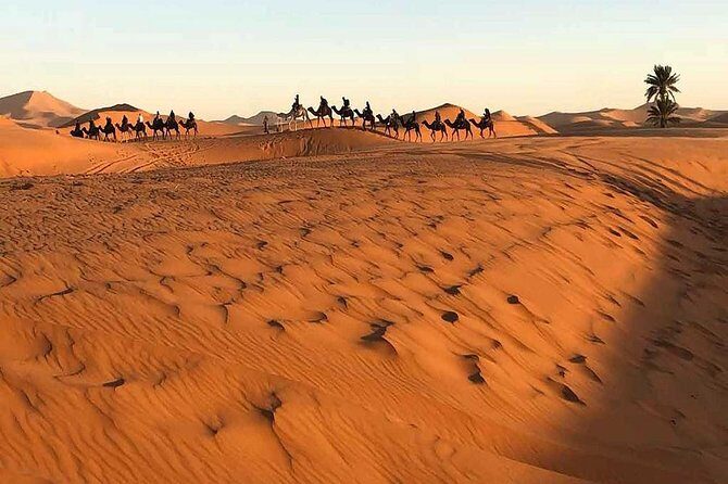 Shared group desert tour from Marrakech to Fes 3 Days - Authentic Experiences and Highlights
