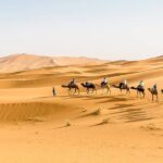 Shared Group Luxury 2-Days Desert Trip from Fes to fes - Authentic Experiences Highlighted by Reviewers