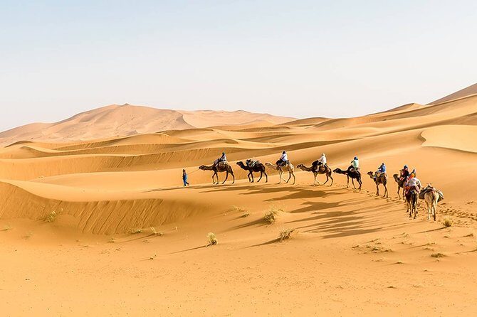 Shared Group Luxury 2-Days Desert Trip from Fes to fes - Authentic Experiences Highlighted by Reviewers