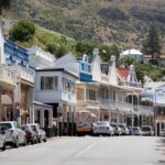 Shared Half Day Tour in Cape Peninsula with African Penguins - What Makes This Tour Stand Out
