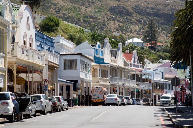 Shared Half Day Tour in Cape Peninsula with African Penguins - What Makes This Tour Stand Out