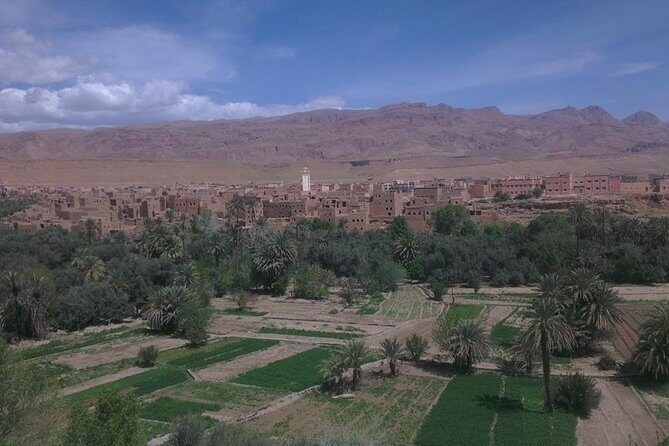 Shared Marrakech Desert Tour with Luxury camp - Food and Cultural Highlights