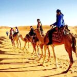 Shared Marrakech Desert Tours - Price & Value Analysis