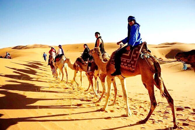 Shared Marrakech Desert Tours - Price & Value Analysis