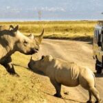 Shared Nairobi National Park Safari Tour - Authentic Insights from Reviewers