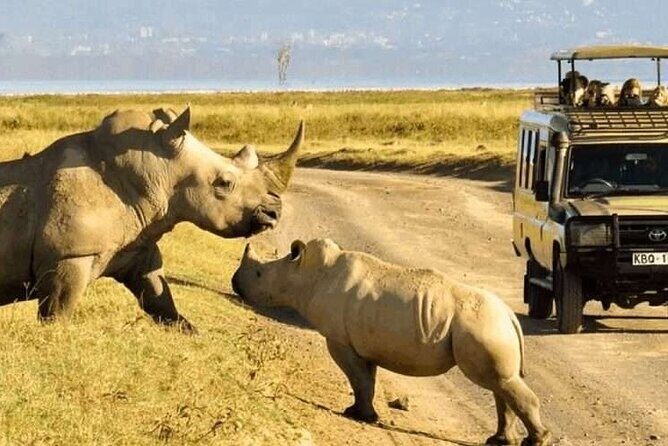 Shared Nairobi National Park Safari Tour - Authentic Insights from Reviewers