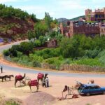 Shared Ourika Valley Tour with Lunch and Camel Riding - What Sets This Tour Apart