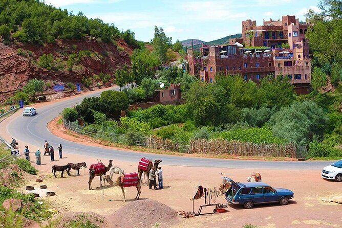 Shared Ourika Valley Tour with Lunch and Camel Riding - What Sets This Tour Apart