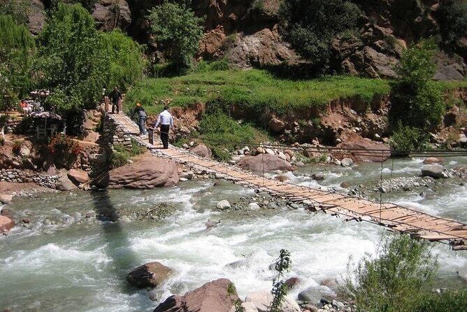 Shared Sightseeing Tour to Ourika Valley with Transfer Included - Who Should Book This Tour?