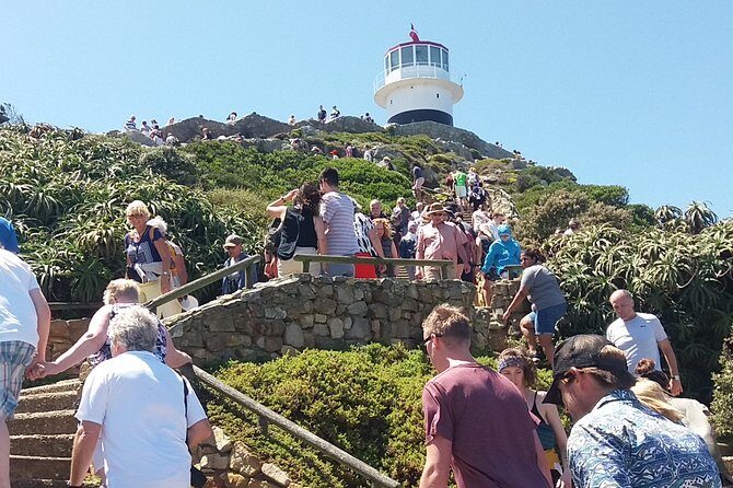 Shared Tour to Cape of Good Hope Penguins Chapman's Peak From Cape Town Full Day - Final Thoughts