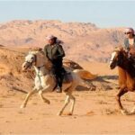 Sharm El-Sheikh: 2-Hour Horse Ride Along Beach & Desert Trails - The Value of This Horseback Ride Tour