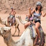 Sharm El Sheikh Desert Adventure (5X1) - Who Is This Tour For?