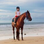 Sharm El Sheikh Horseback Riding with Pickup and Drop-off - Authentic Reviews and Insights