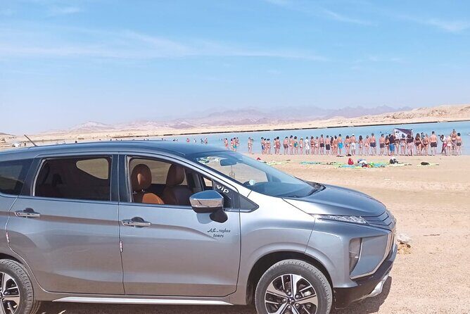 Sharm el Sheikh Private Airport Transfer - How to Book and Use the Service