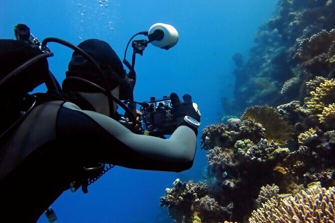 Sharm El Sheikh: Ras Mohamed, White Island, Snorkel and Diving - Possible Drawbacks and Considerations