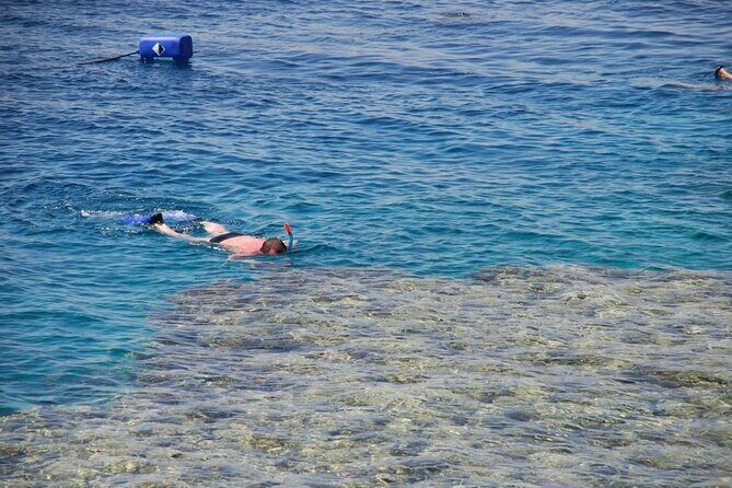 Sharm El Sheikh: Ras Mohammed and White Island VIP Boat Sea Trip - Why This Tour Is a Great Choice