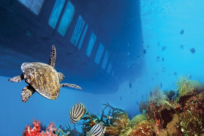 Sharm El-Sheikh: Royal Seascope Submarine cruise in with pickup - Who Should Consider This Tour?