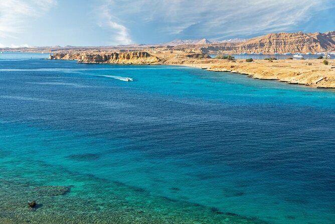 Sharm El Sheikh: White Island and Ras Mohamed Cruise Adventure - Ras Mohamed National Park: The Reefs and Marine Life