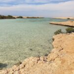 Sharm El Sheikh : White Island and Ras Mohamed Trip - Breaking Down the Itinerary: What to Expect from Start to Finish