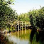 Shaumari Reserve and Azraq Wetland Private Full Day Tour from Amman - What Makes This Tour Stand Out?