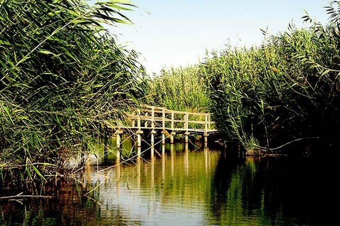 Shaumari Reserve and Azraq Wetland Private Full Day Tour from Amman - What Makes This Tour Stand Out?