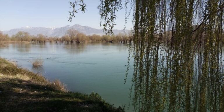 Shkodër Culinary & Wellness Experience  Hidden Gems - Practical Details and Value