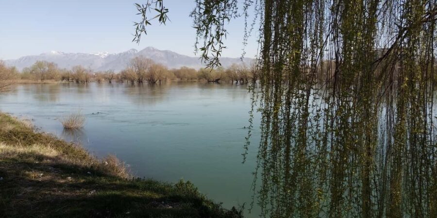 Shkodër Culinary & Wellness Experience  Hidden Gems - Practical Details and Value
