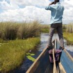 Shoebill stock tracking experience at Mabamba - Frequently Asked Questions