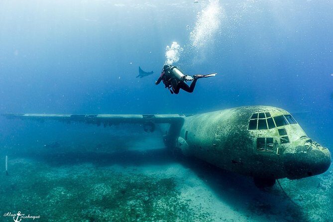 Shore Certified Diving - Two Dives - The Sum Up