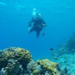 Shore Discover SCUBA Diving/Introductory Diving - One Dive - Practical Details and What to Consider