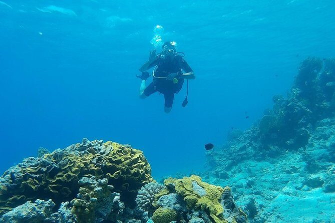 Shore Discover SCUBA Diving/Introductory Diving - One Dive - Practical Details and What to Consider
