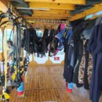 Side: Scuba Diving with Expert Diving Option - What You’ll Love About this Tour
