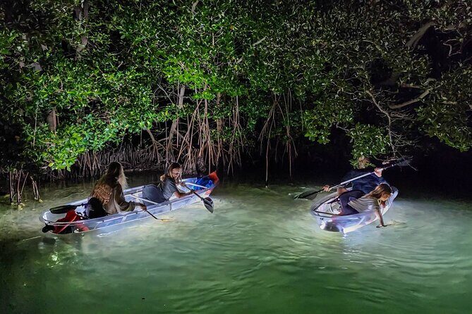 Siesta Key, FL - Clear Kayak LED Night Glass Bottom Tour - The Value of This Nighttime Kayaking Adventure