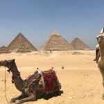 Sightseeing Day Tour to Pyramids, Egyptian Museum and Bazaar - Practical Tips for Your Cairo Sightseeing Tour