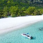 Signature Experience: Dolphins and Flavors of the Sea - The Sum Up