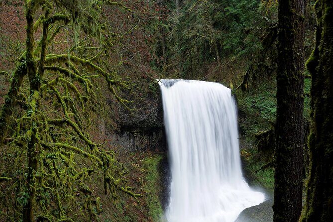 Silver Falls Private Hike Tour - Post-Hike Charm in Silverton